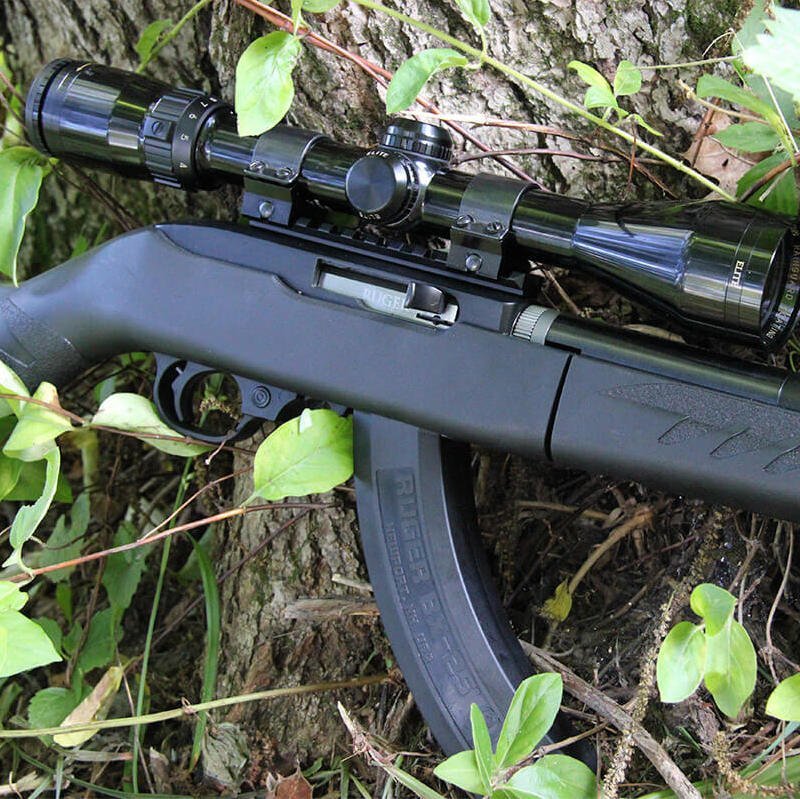 Best Budget 22lr Rifle - The Ultimate Guide - Spartan Mounts